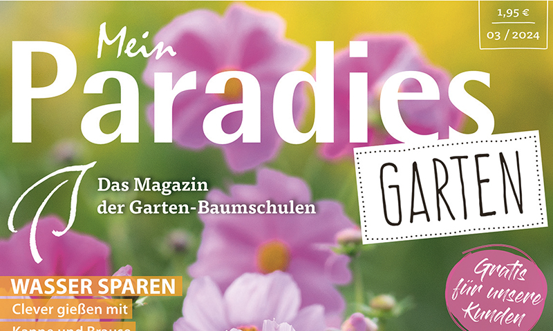 mein_paradies_garten